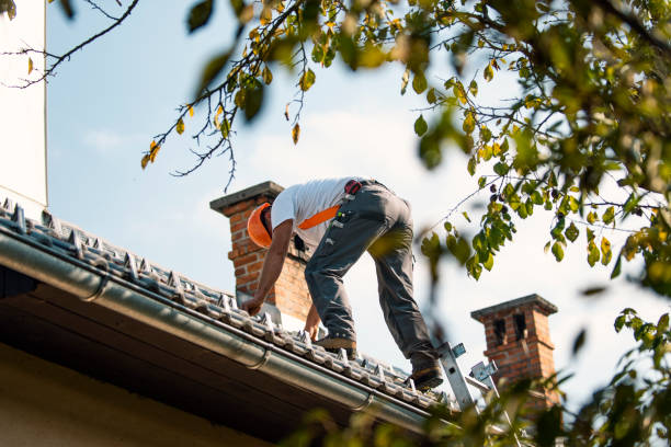 Best Metal Roofing Contractor  in Montpelier, VT